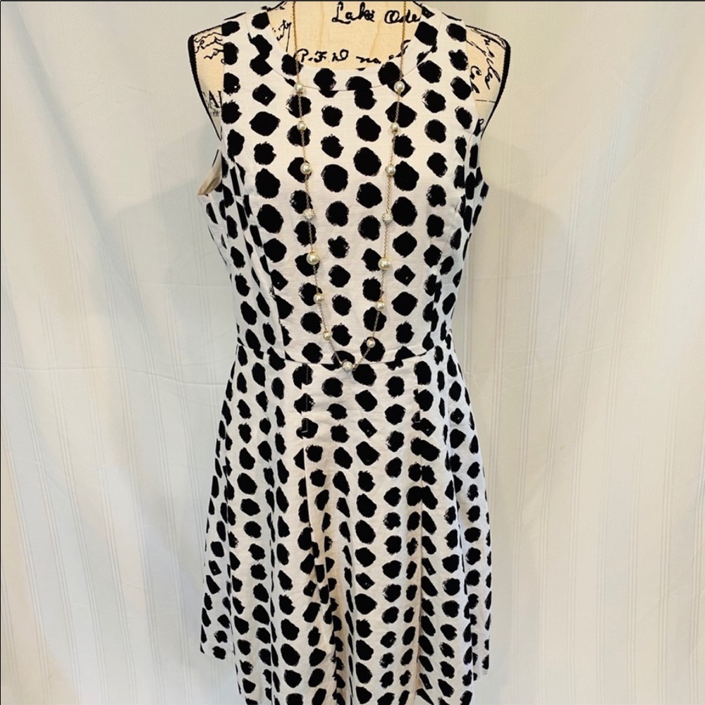 White House Black Market Polka Dot Dress